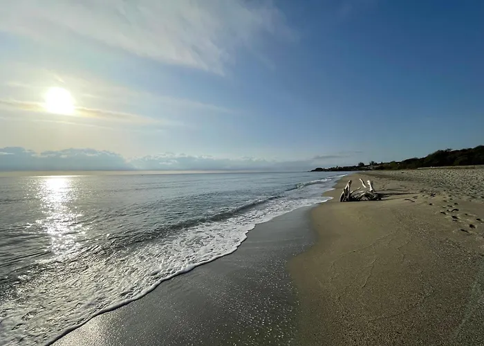 T2 Vue Mer Marina Di Bravone N197